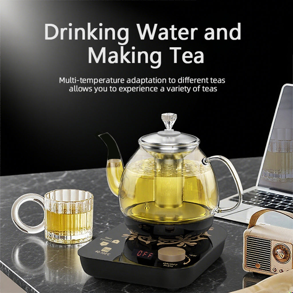 Professional Multi-functional Glass Teapot