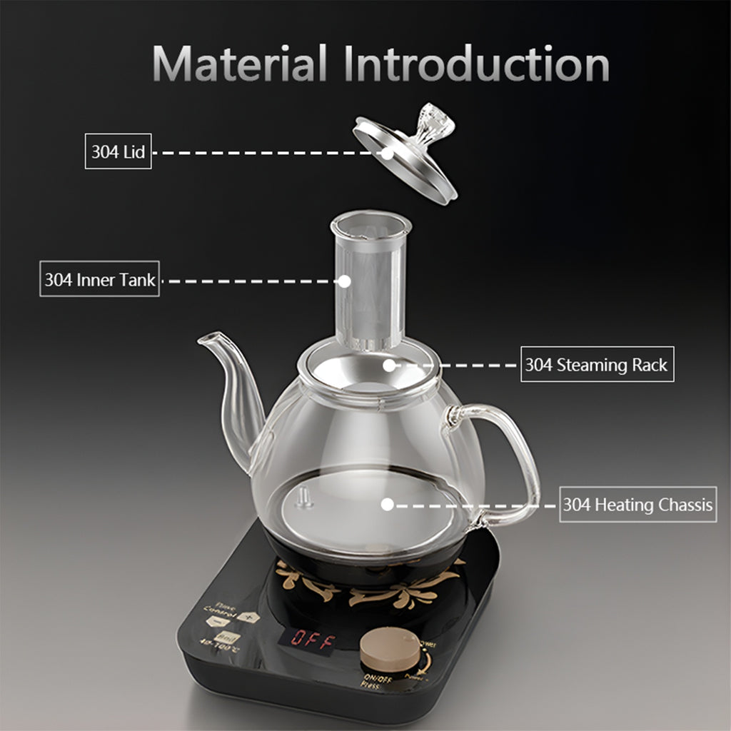 Professional Multi-functional Glass Teapot