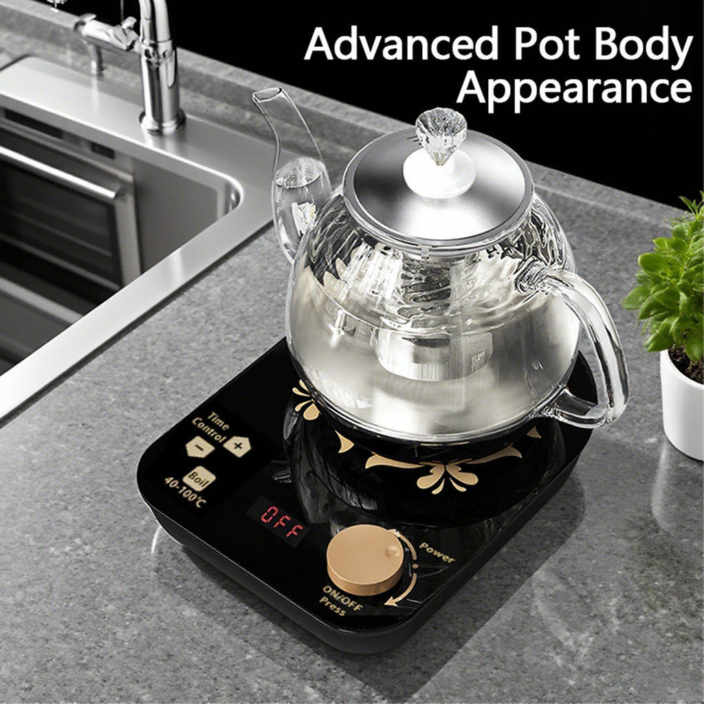 Professional Multi-functional Glass Teapot