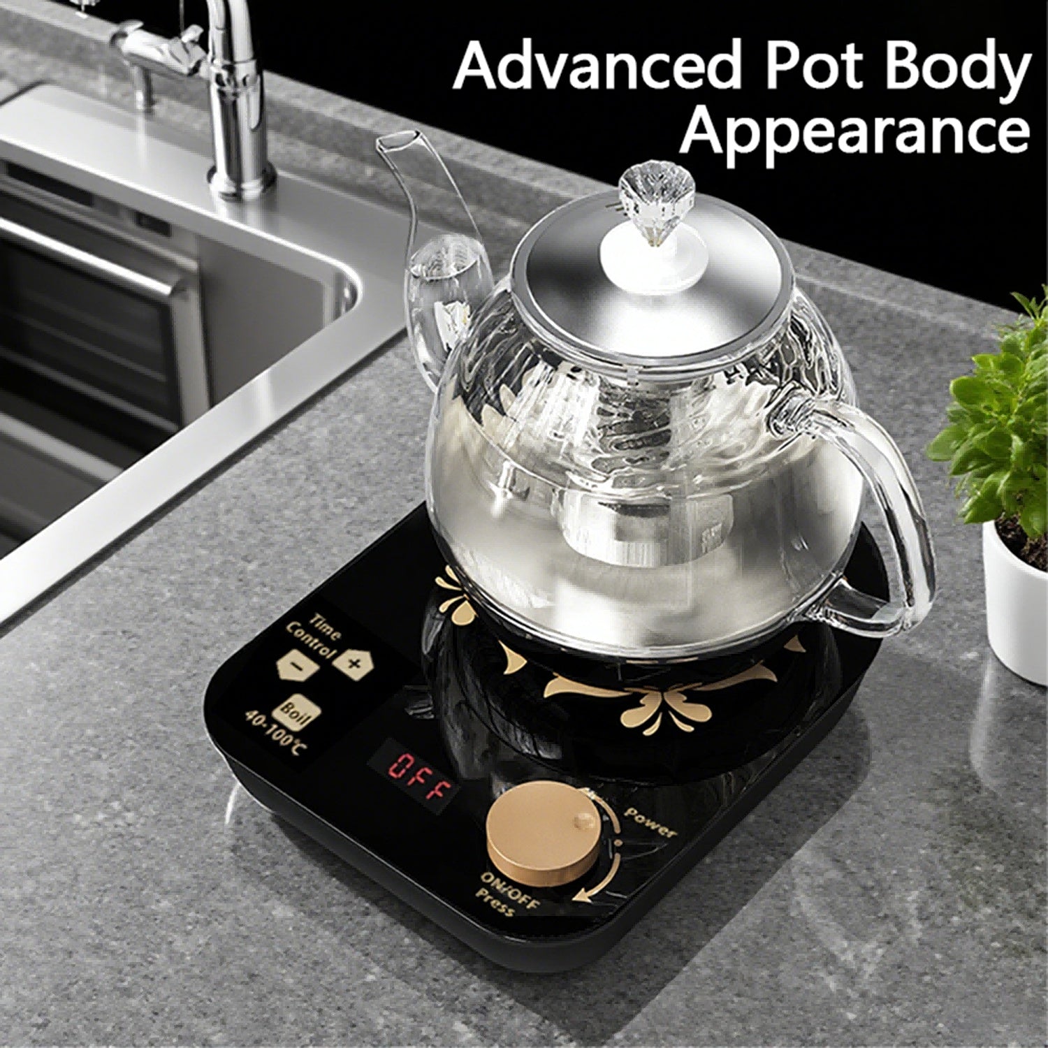 Professional Multi-functional Glass Teapot